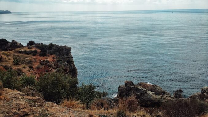 uploaded-image-payas-akdeniz-kiyilarinda-piknik-alanlari-1697543389835