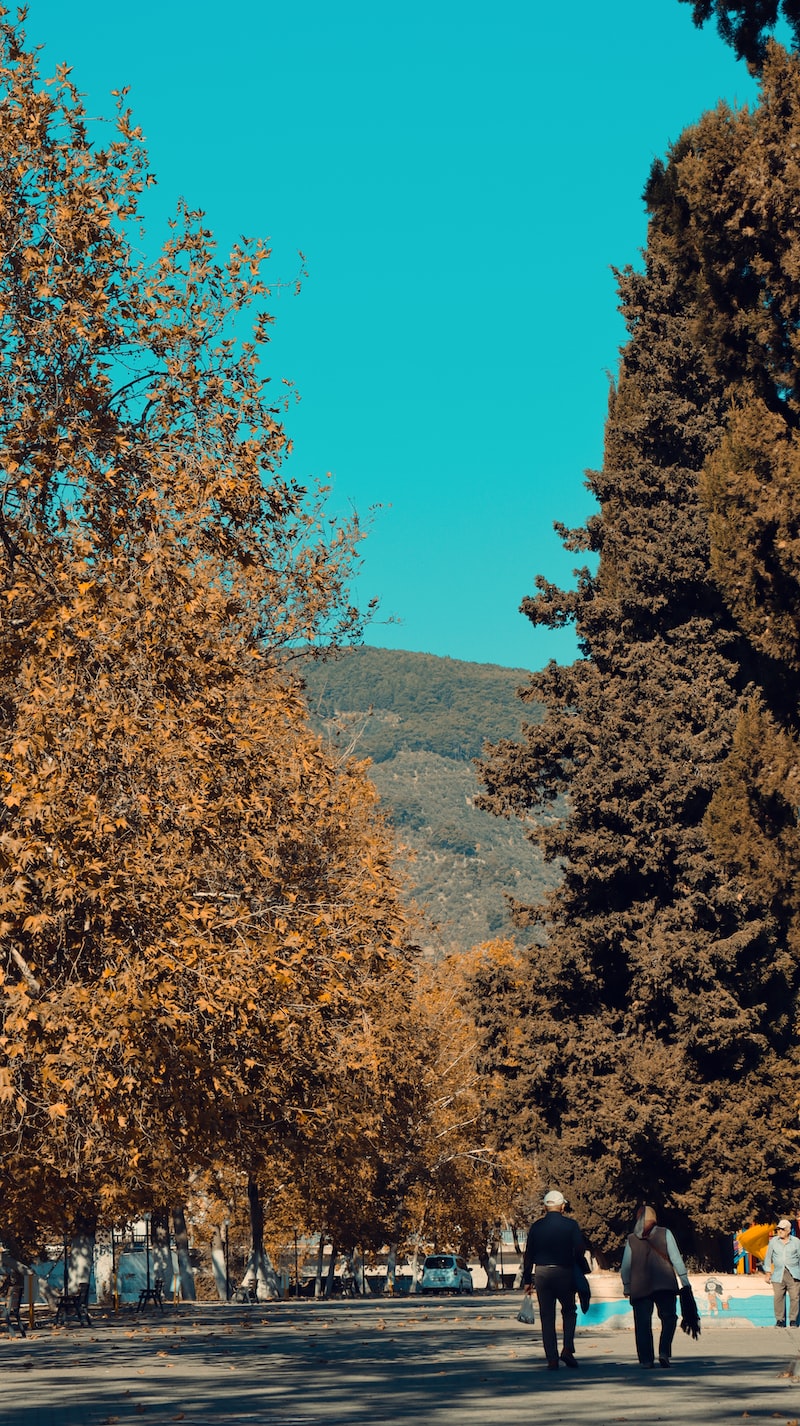 Payas: Fotoğrafçılar ve Sanat Sergileri Payas: Fotoğrafçılar ve Sanat Sergileri